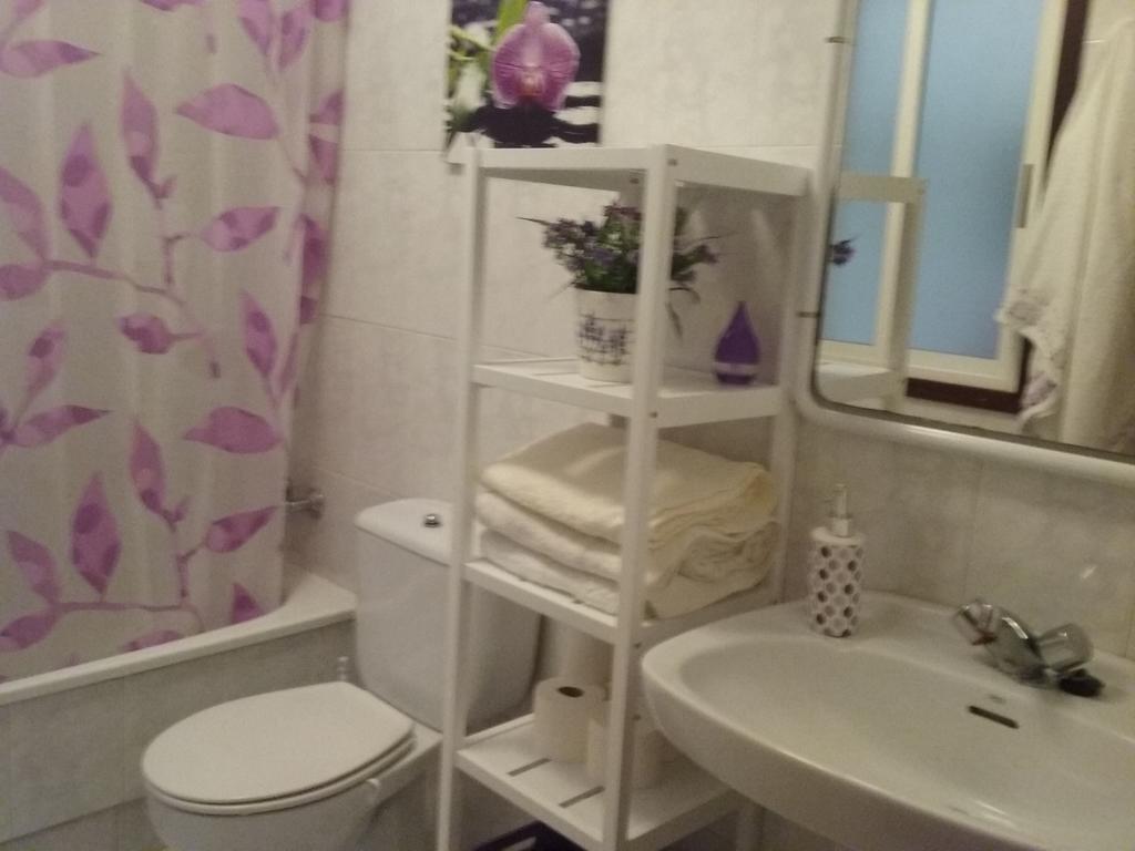 Apartamento Apartamento Rosalia Milladoiro