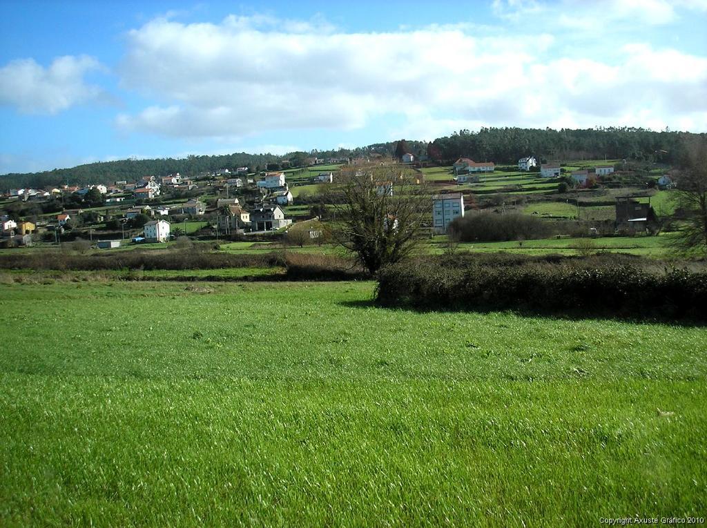 Teyma