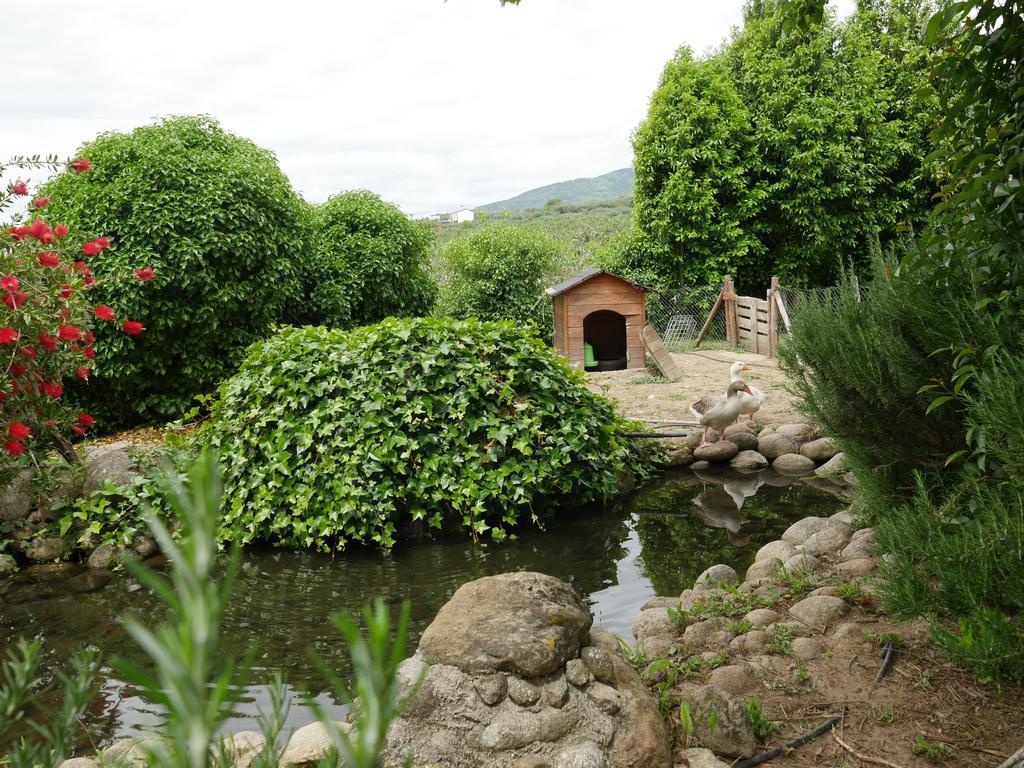 Country house Casas Rurales Las Praderas Poyales Del Hoyo