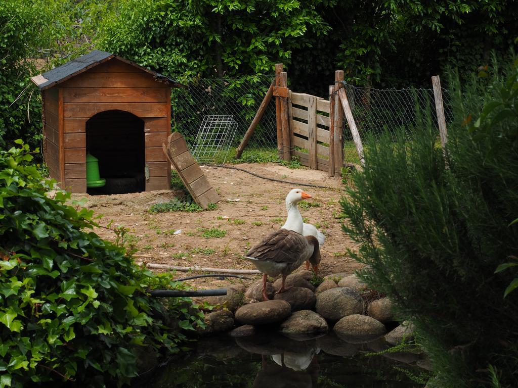 Country house Casas Rurales Las Praderas