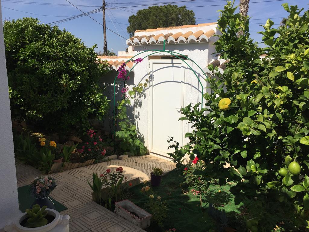 Esperanza Torrevieja