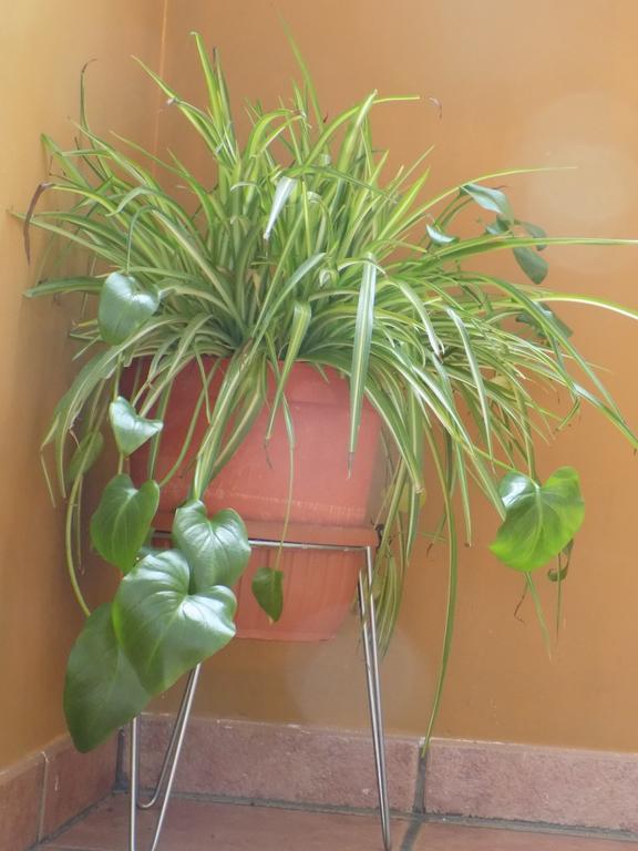 Apartamento Casa Ferrás Valderrobres
