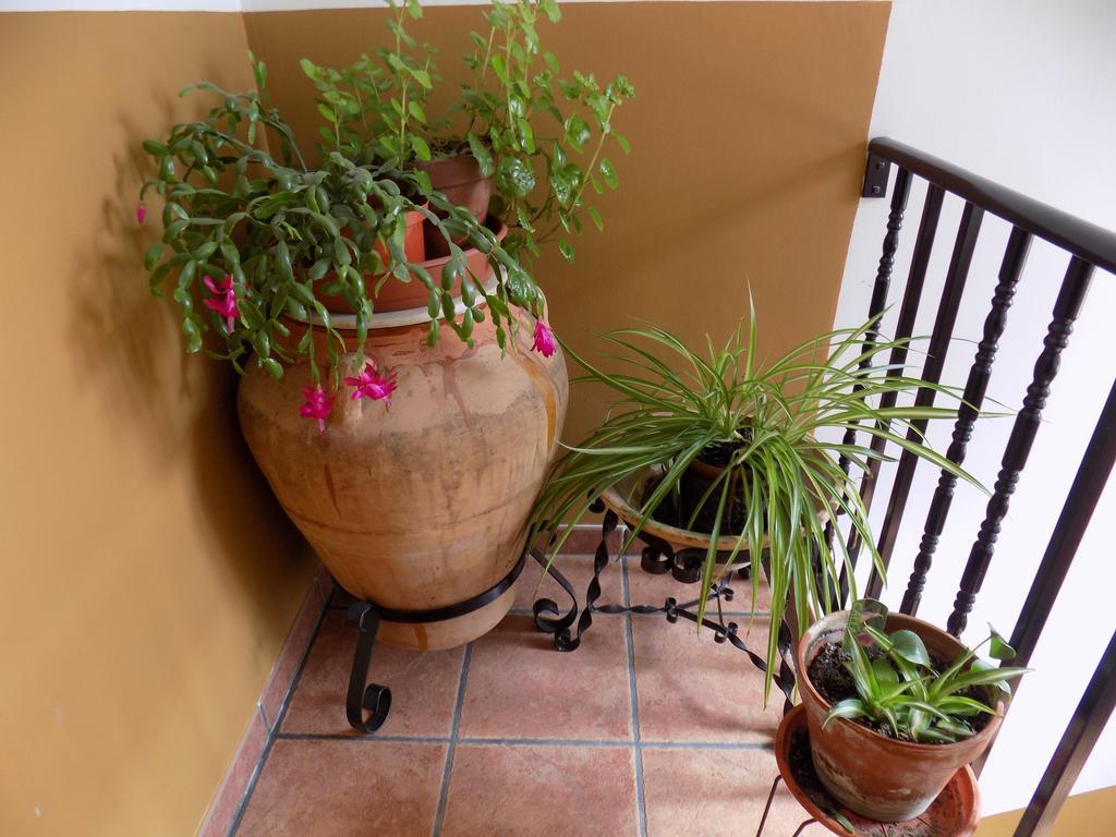 Casa Ferrás Valderrobres