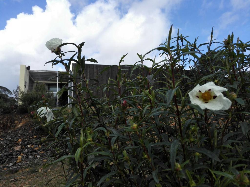 Casas Rurales Cijara Helechosa