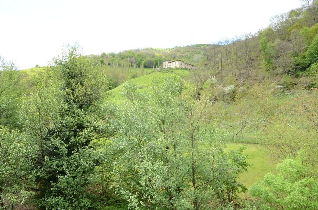 Apartment El Rincon De Limes Cangas De Narcea