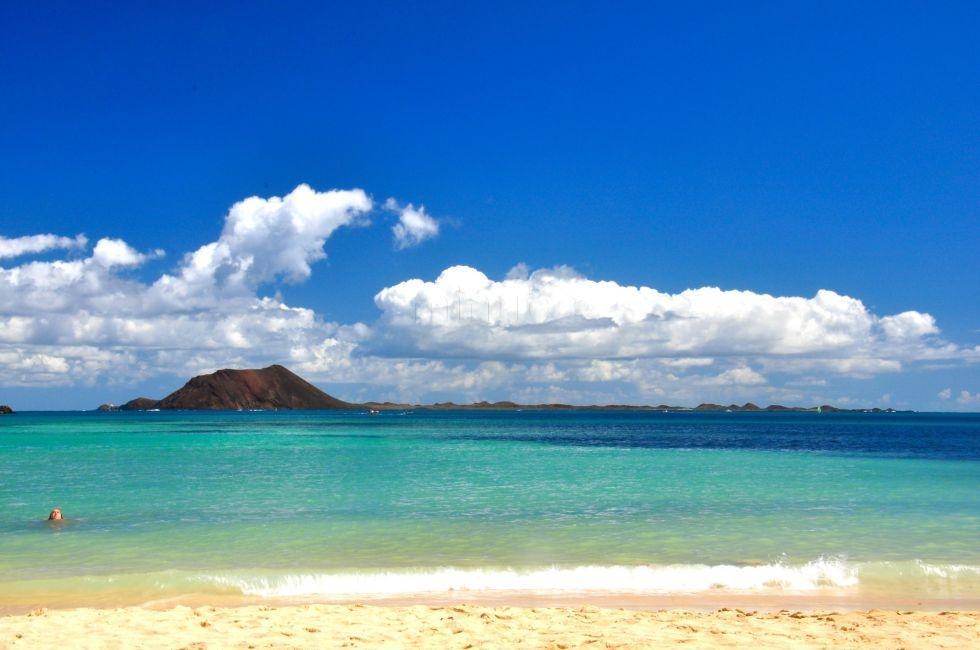Tamaragua