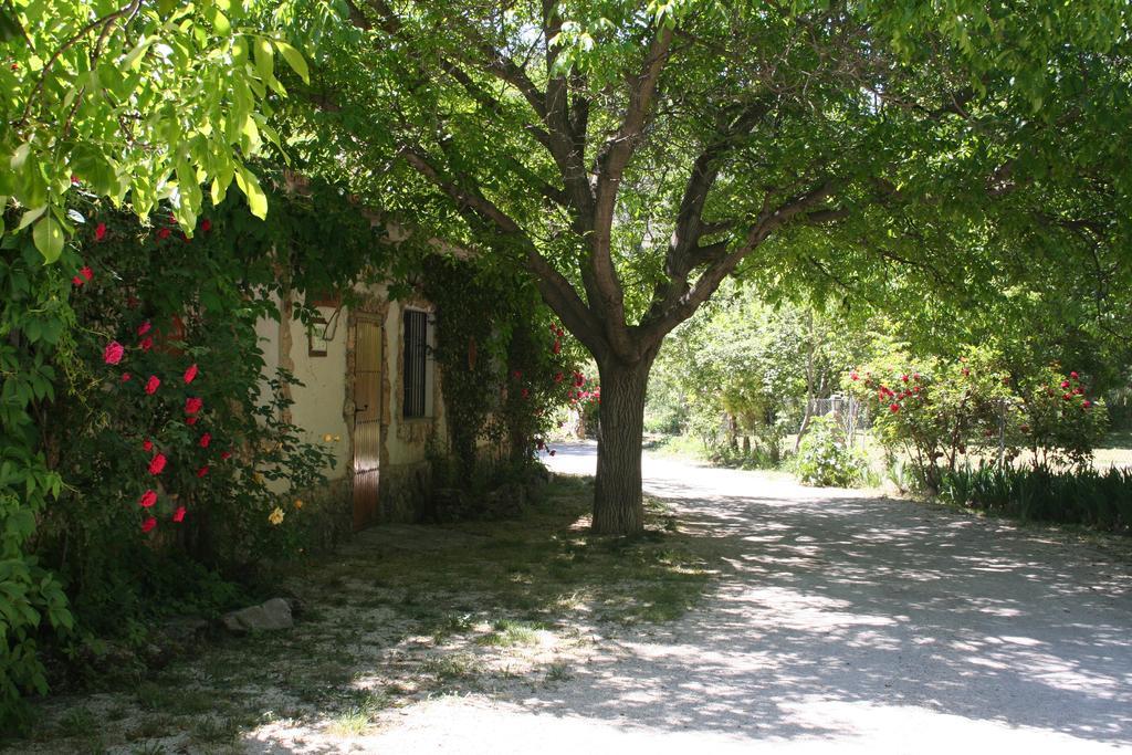 Casa rural Enebros Nerpio