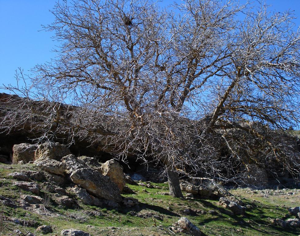 Campolibre Masegoso