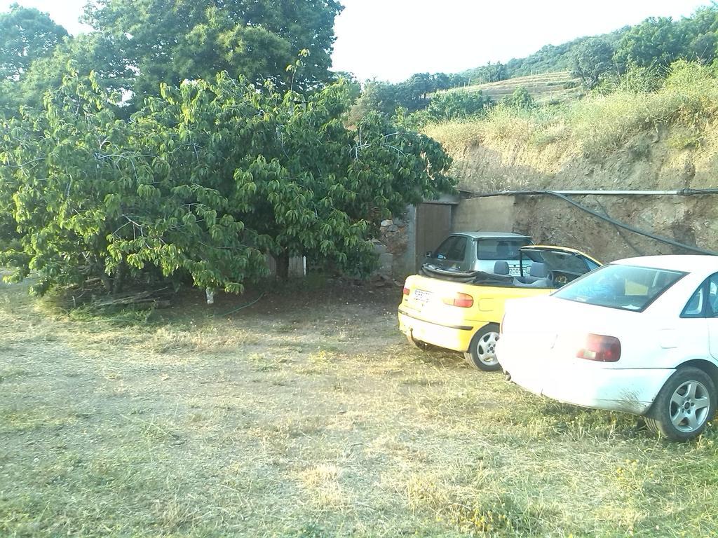 Casa rural El Castanuelo Bayárcal