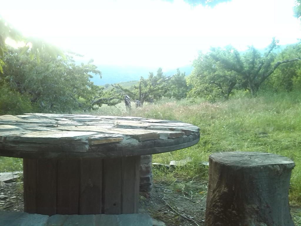 El Castanuelo Bayárcal