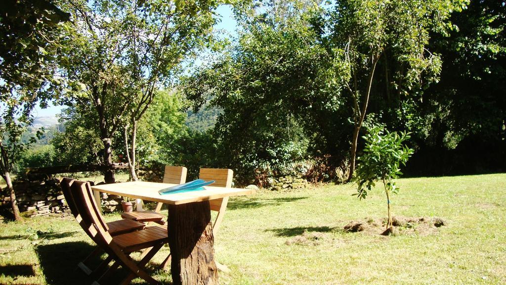 Apartamento La Ventanita Del Campo *