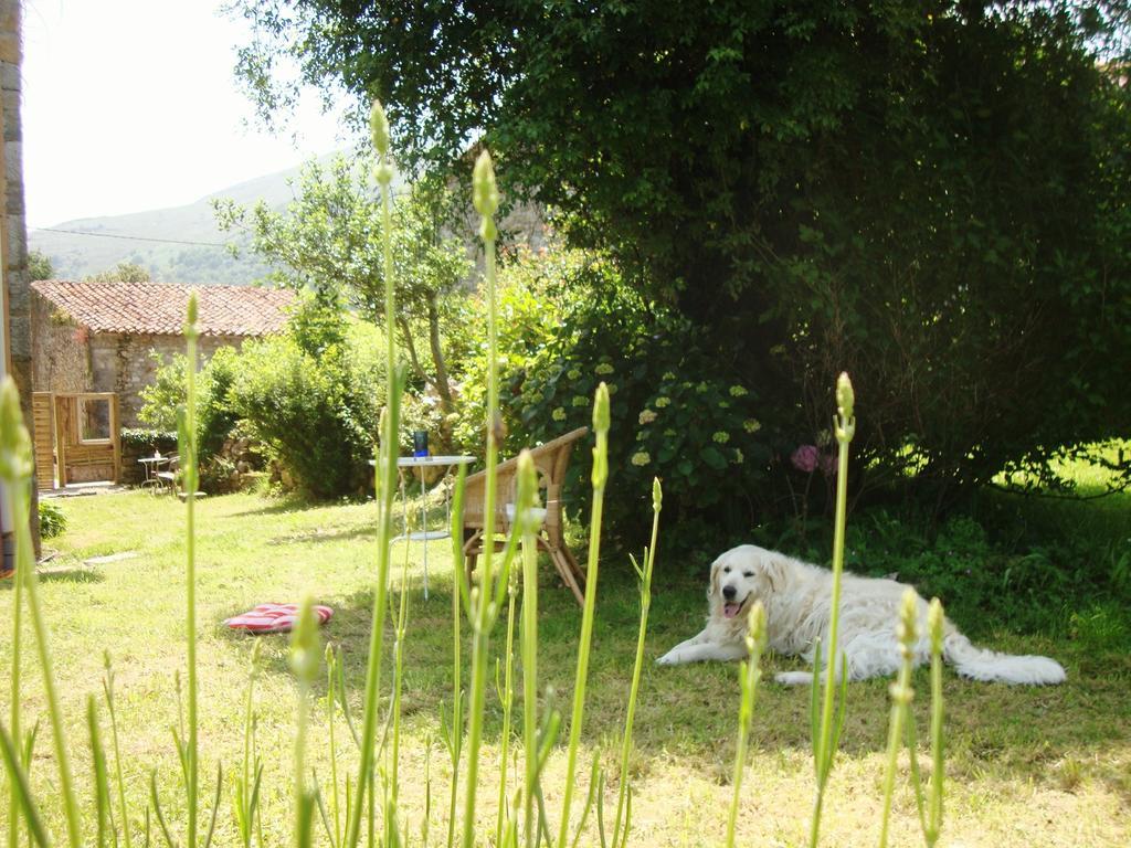 La Ventanita Del Campo La Cavada