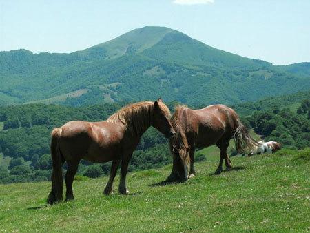 Country house Casa Rural Lenco *