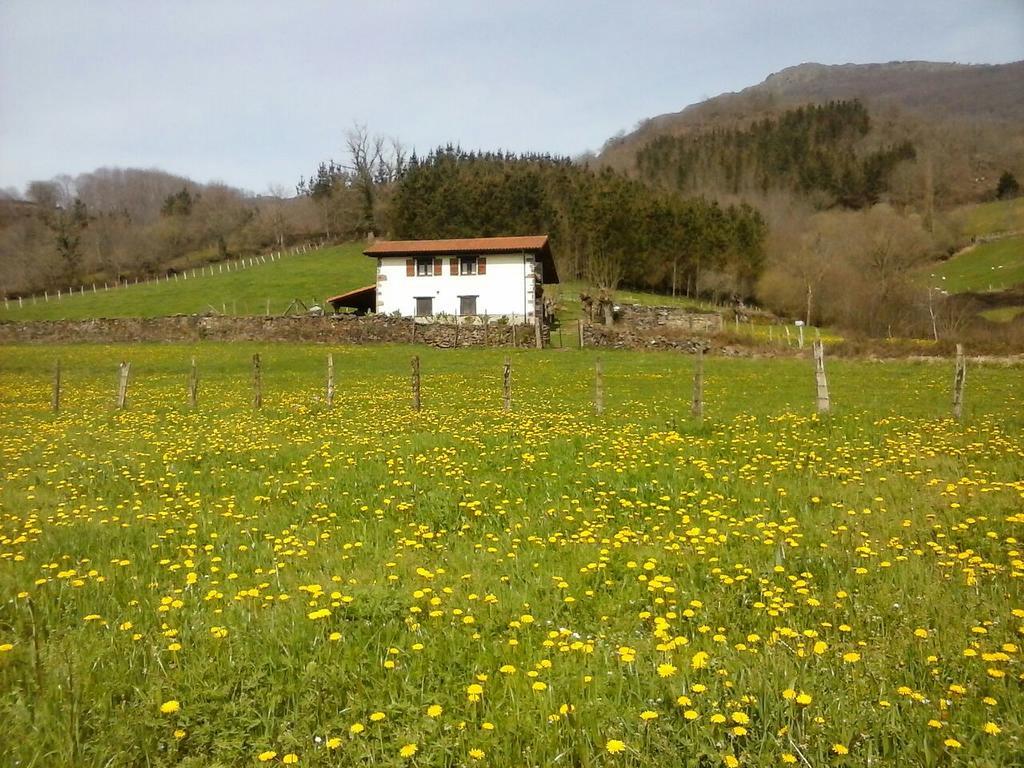 Alberroakoborda