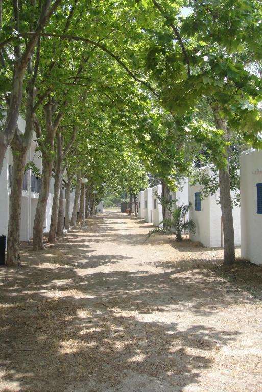 Camping San Antonio Campsite San Antonio (Ibiza)