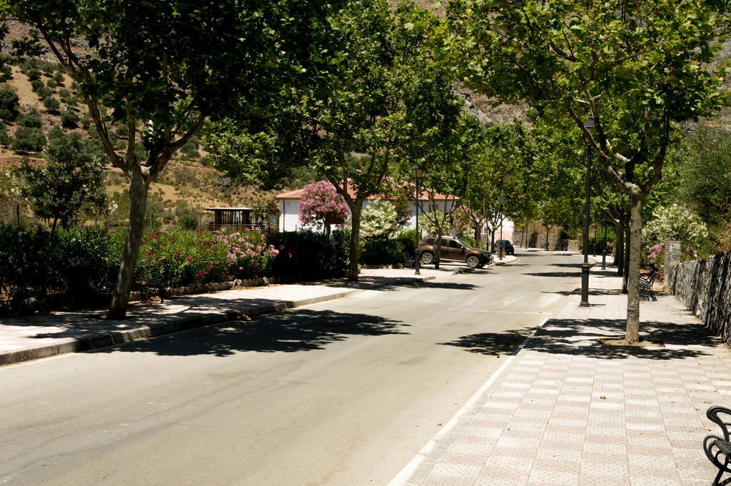 Castaños Cartajima
