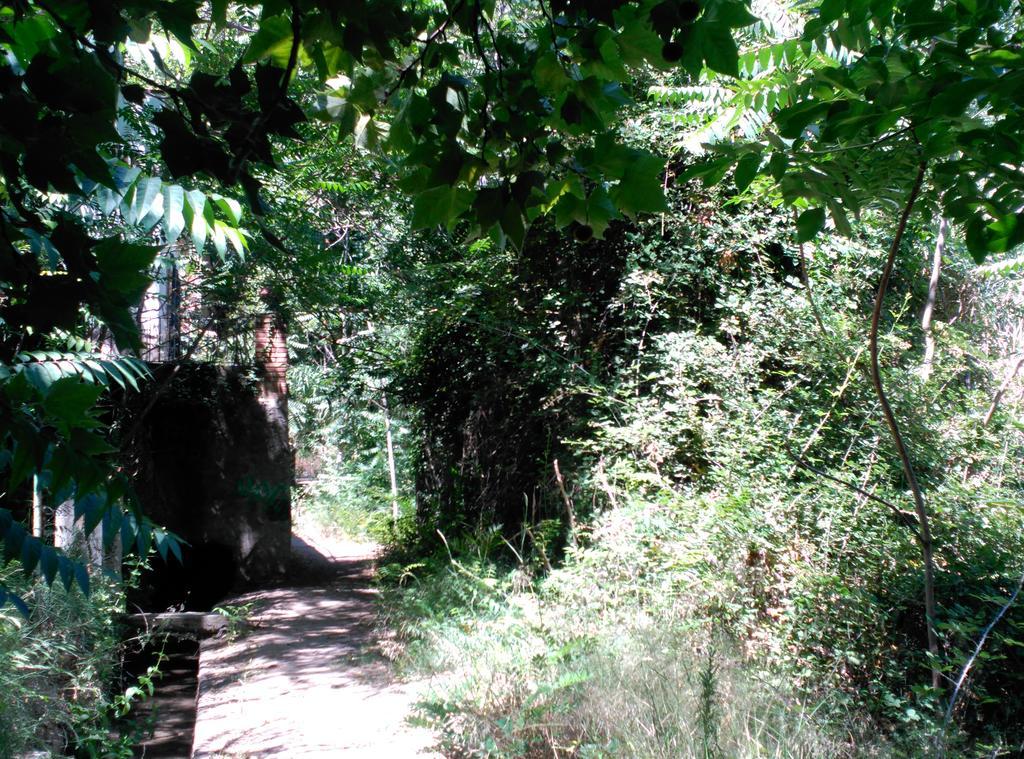 Casa rural La Casita Del Río