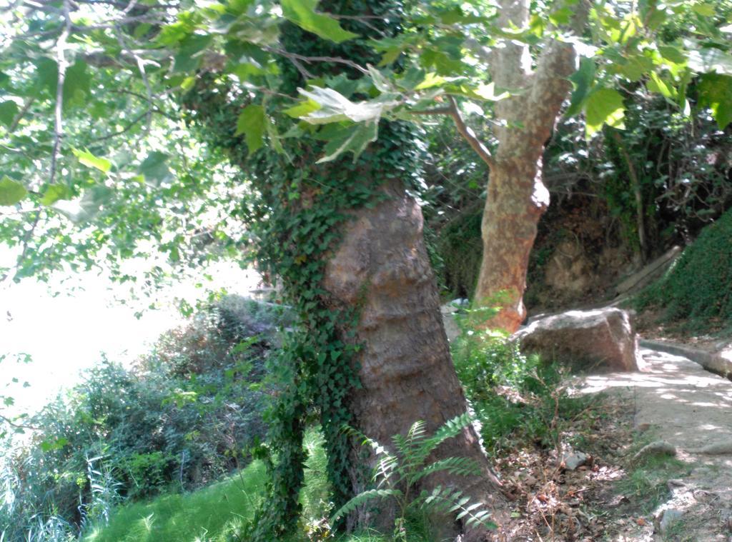 Casa rural La Casita Del Río