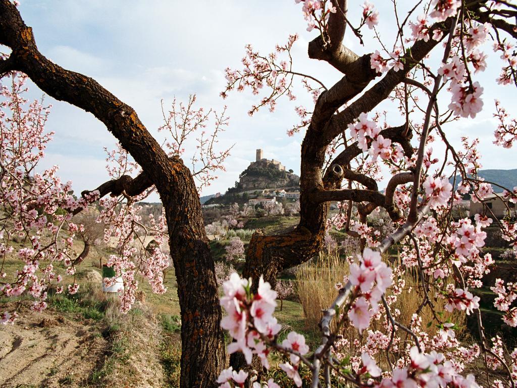 Casa Rural Sant Antoni Biar