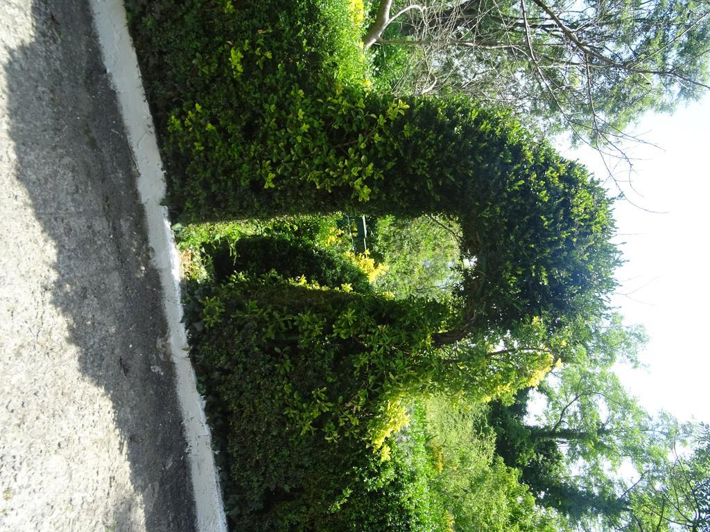 Arratzain Usurbil