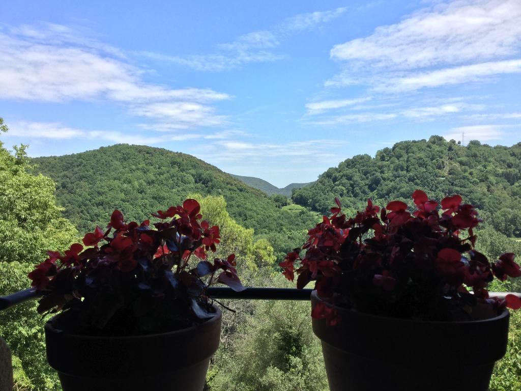 Holiday home Mas Pardas Santa Pau