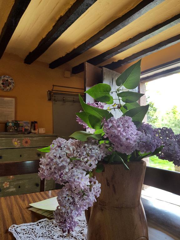 Mas Violella Rural Sant Joan les Fonts