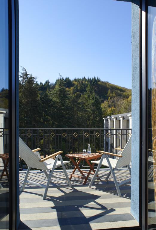 Hotel Balneario Font Vella- Adults Only