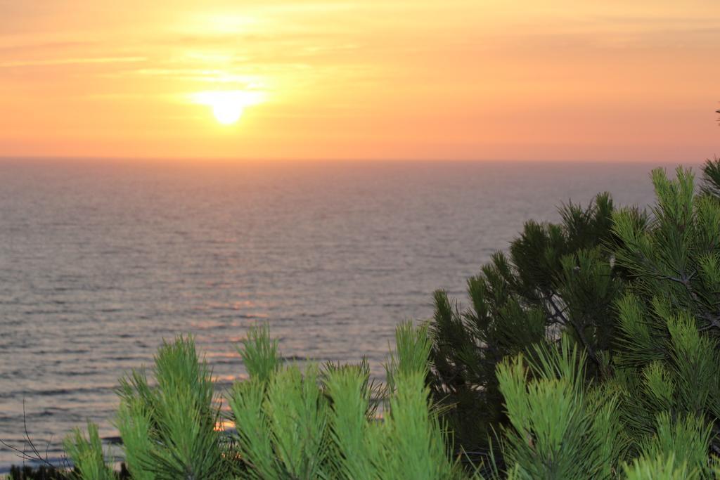 Hotel Doñana Blues