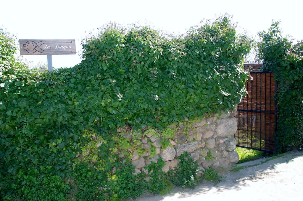 La Fragua