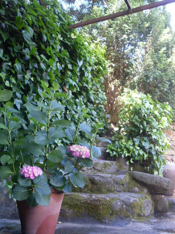 Holiday home La Casita Del Tejo *