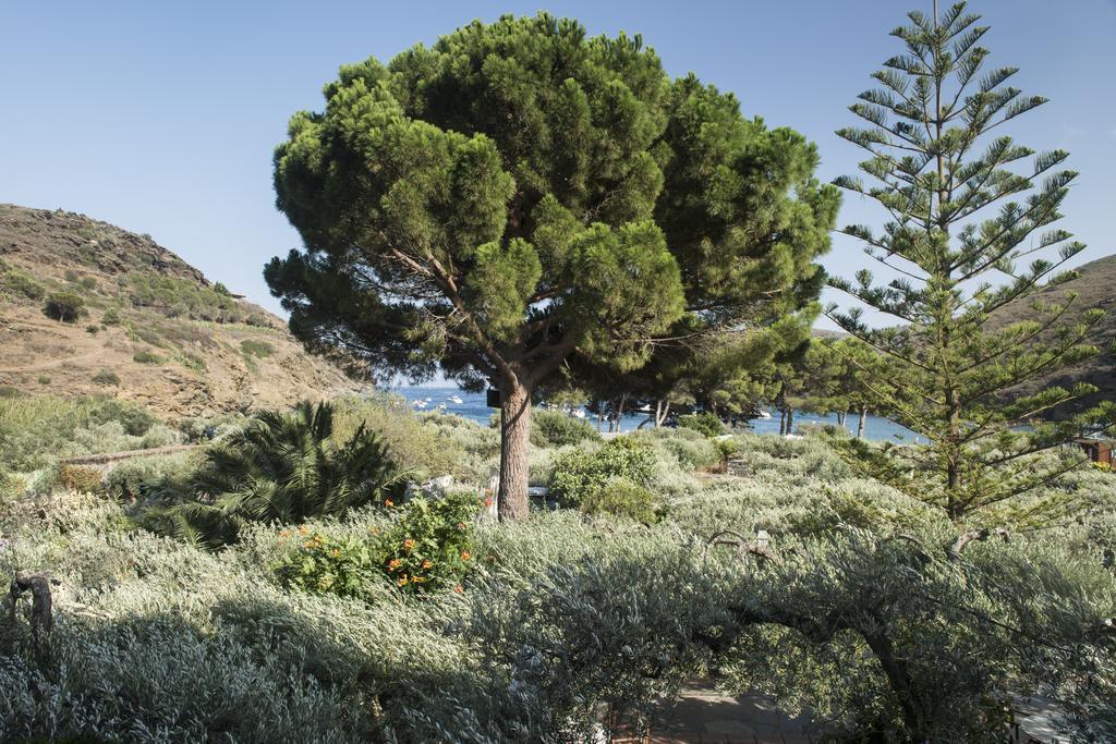 Hotel Cala Joncols Roses