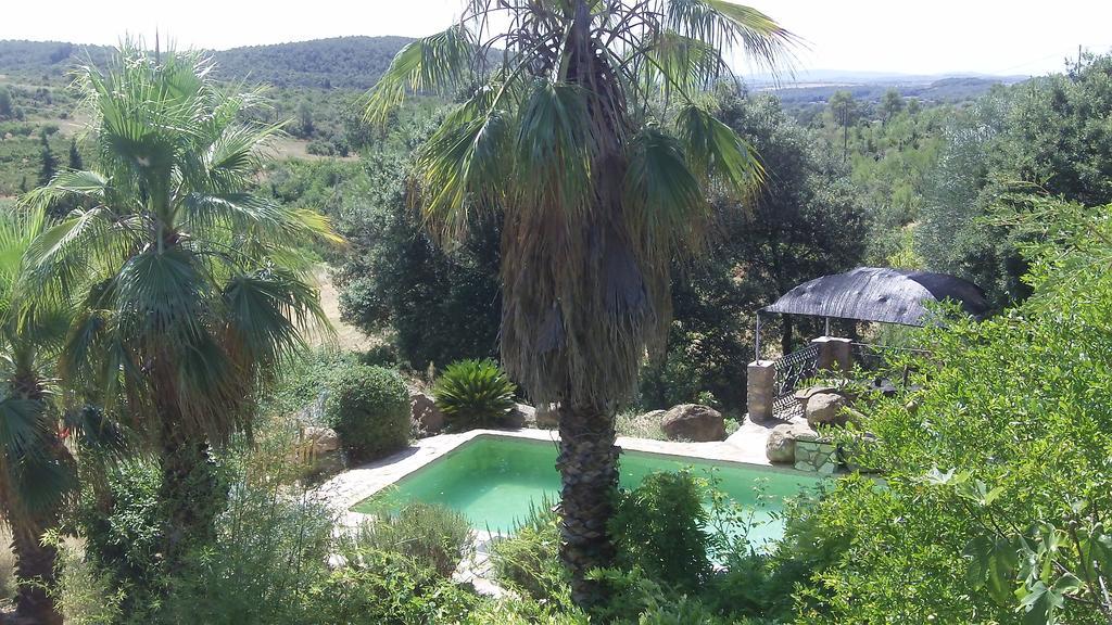 Casa rural Mas Seguilla Cistella