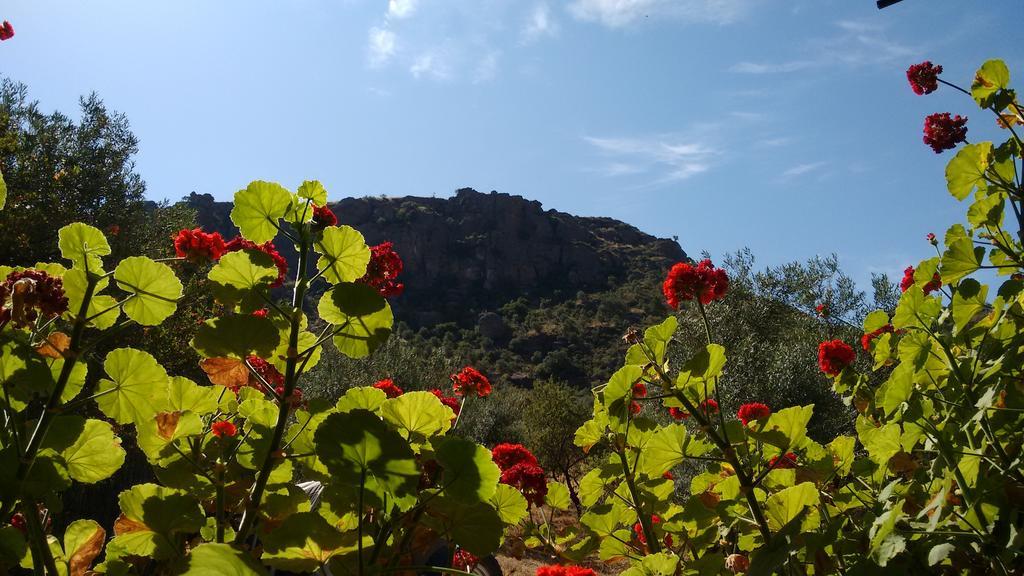 Holiday home La Piedra Holidays *