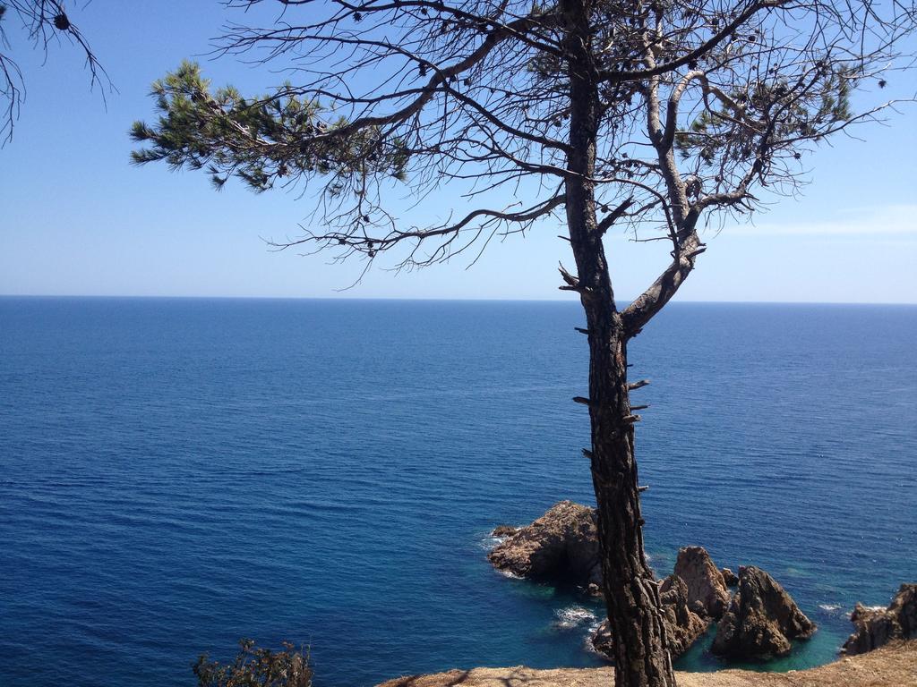 Hotel Gran Reymar&spa Superior Tossa de Mar