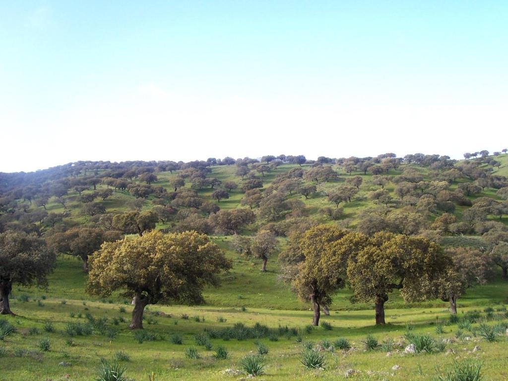 Casa Rural Abuela Maxi Country house *