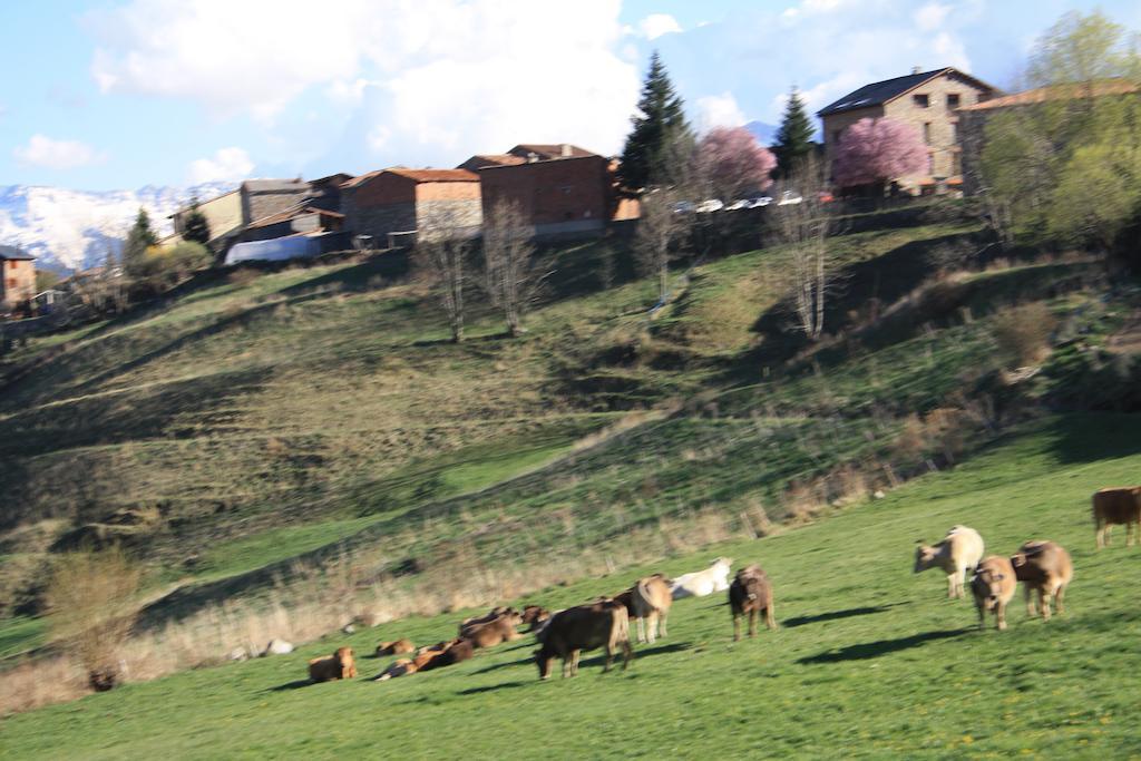 Casa rural Cal Sandic *