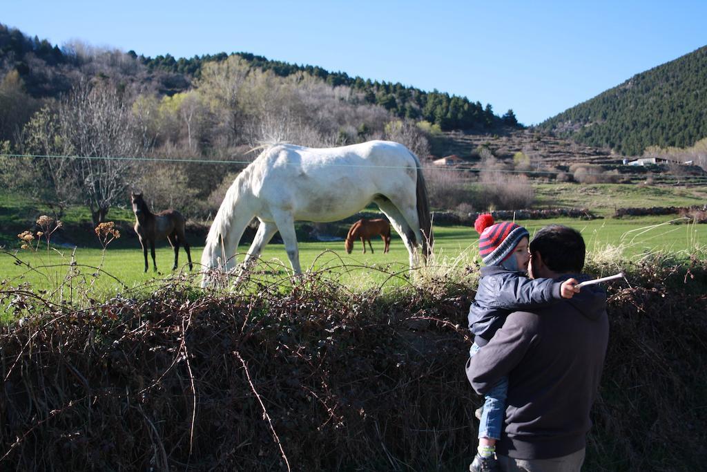 Casa rural Cal Sandic