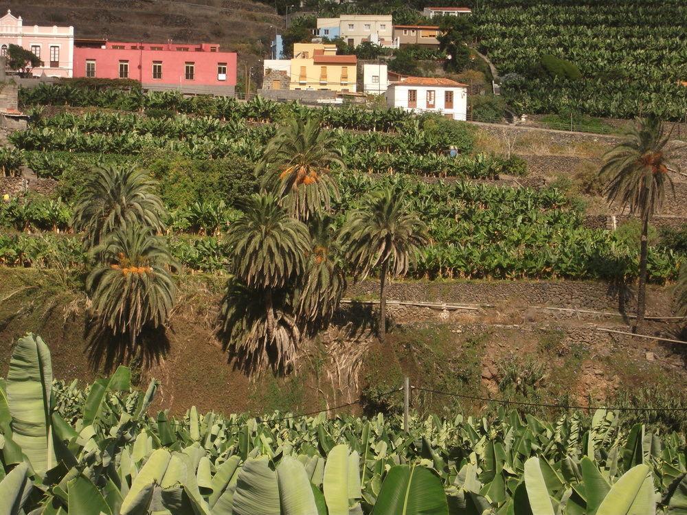 Llano Campo