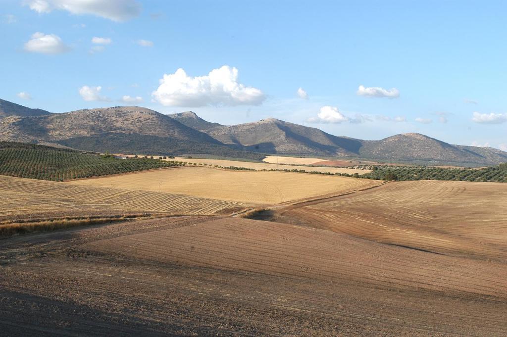 Cortijo Del Marqués Hotel Albolote