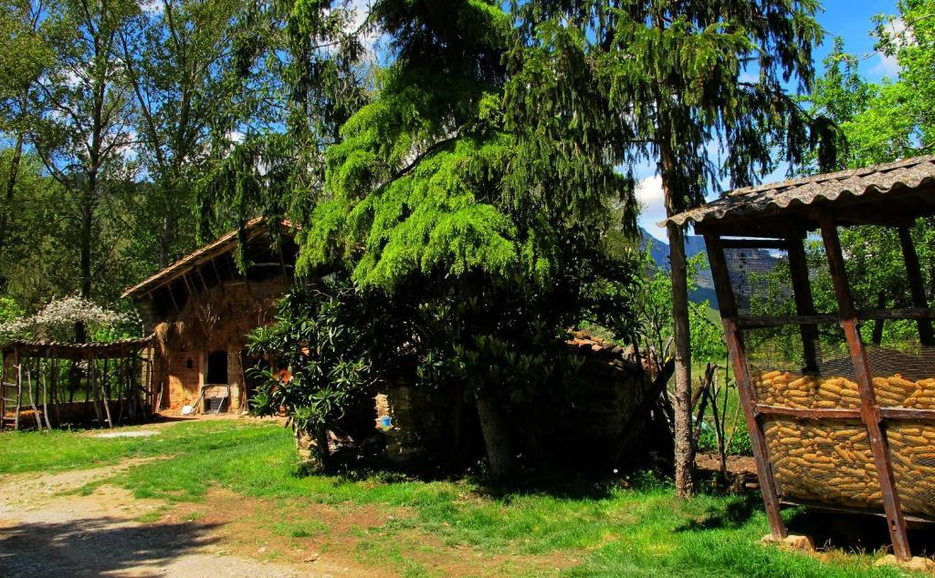 Mas Violella Rural
