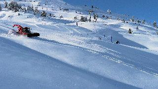 Snoe