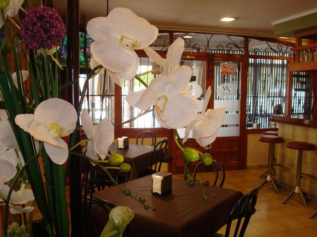 Hotel Fin De Semana (adults Only) 2*