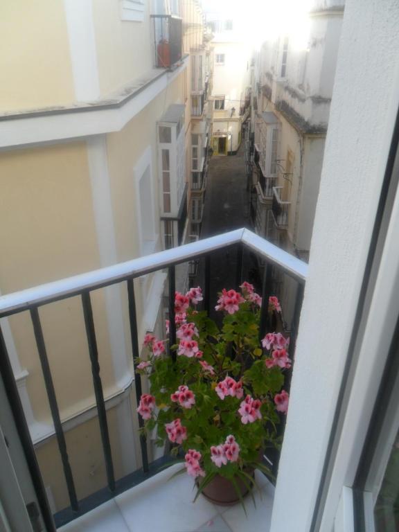 Centro Sol Cádiz