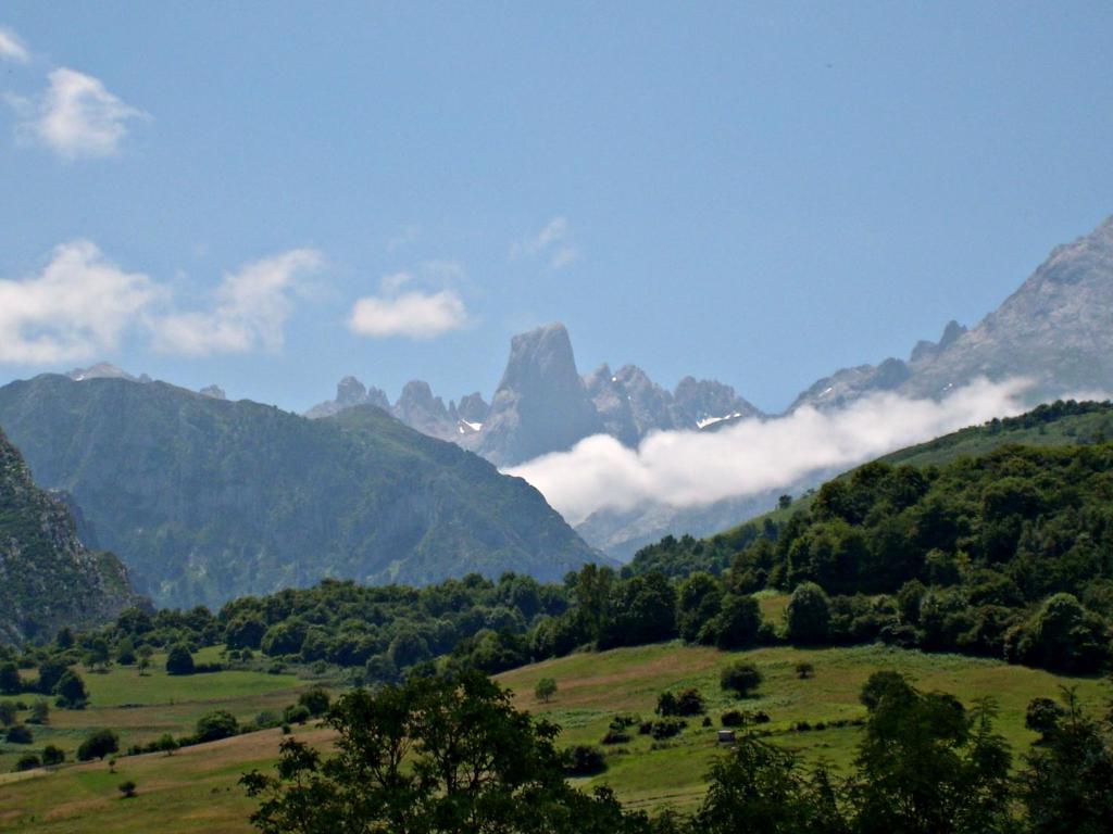 Rurales La Vina