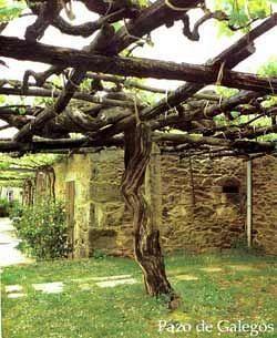 Pazo De Galegos Hotel Vedra