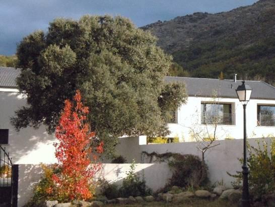 El Hotelito 3*