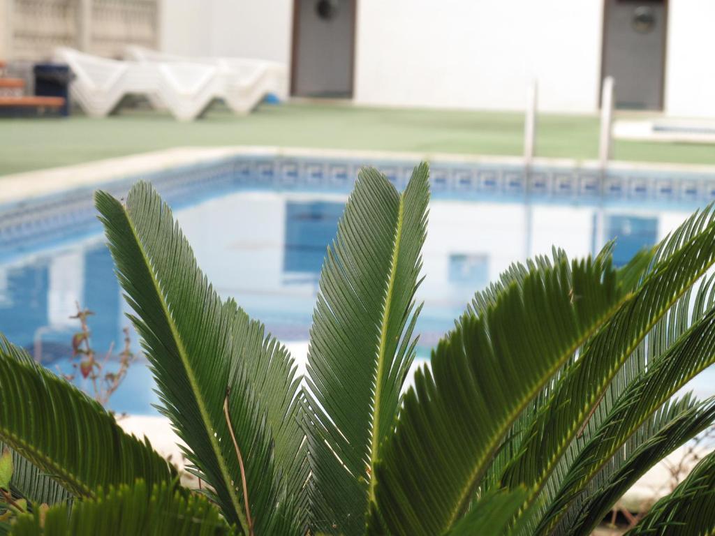 Camping Roca Grossa