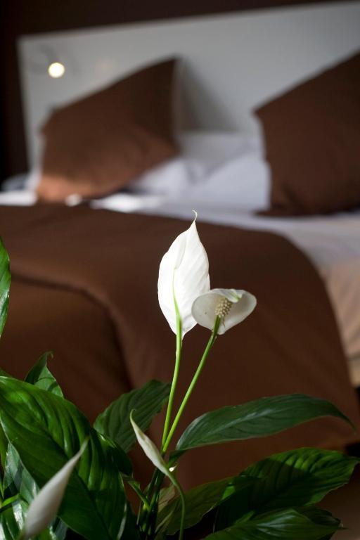 La Sequia Molinar Hotel
