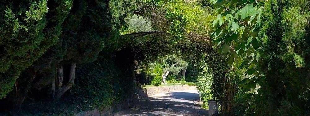 Alfabia Nou *