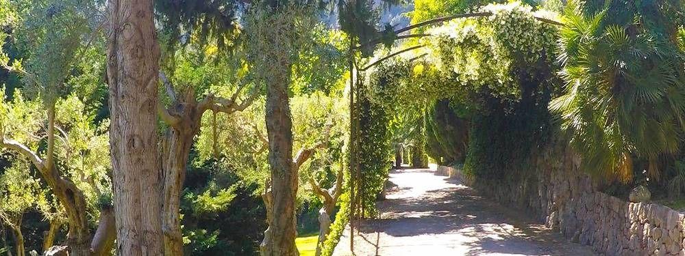 Alfabia Nou Apartment